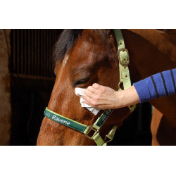 Easy Shine Wipe Ravene Toalhetes de limpeza Easy Shine Wipe Ravene Toalhetes de limpeza