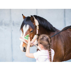 Émouchine Protec Gel Ravene pote + esponja Émouchine Protec Gel Ravene pote + esponja