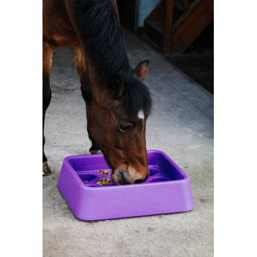 Comedouro anti-guloso Hippotonic Violeta Comedouro anti-guloso Hippotonic Violeta