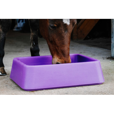 Comedouro anti-guloso Hippotonic Violeta Comedouro anti-guloso Hippotonic Violeta