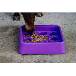 Comedouro anti-guloso Hippotonic Violeta Comedouro anti-guloso Hippotonic Violeta