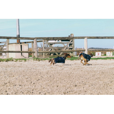 Capa para cão Equithème Eco 600D Capa para cão Equithème Eco 600D