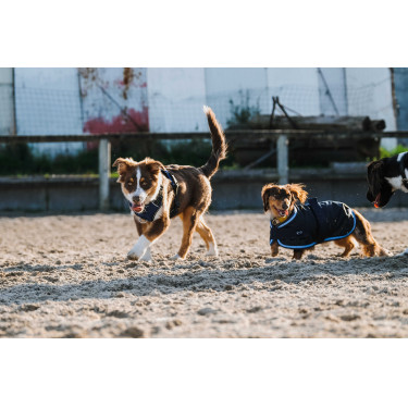 Capa para cão Equithème Eco 600D Capa para cão Equithème Eco 600D