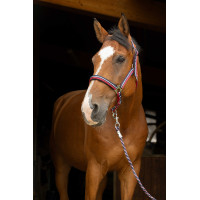 Caveção + guia Norton Brillant Preto / cinza / prata