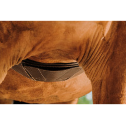 Cilha anatômica Magnet Norton Havana Castanho Cilha anatômica Magnet Norton Havana Castanho