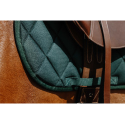 Sela de montar Riding World School Sela de montar Riding World School