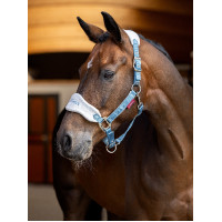 Caveção e corda LeMieux Vogue Esme Milho azul Caveção e corda LeMieux Vogue Esme Milho azul