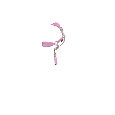 Cabeçada de passeio para brinquedo Mini Pônei LeMieux Florir Rosa Cabeçada de passeio para brinquedo Mini Pônei LeMieux Florir Rosa