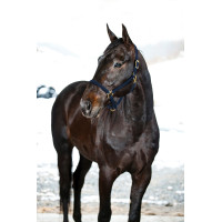 CABEÇADA YANKEE NYLON 20 MM CABEÇADA YANKEE NYLON 20 MM