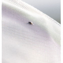 Capa anti-moscas Horseware Rambo Protector disco Prata / marinho