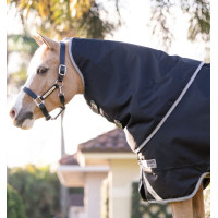 Capa Horseware Amigo 1200D Plus Poney Turnout 0g Marinho / cinza titânio / prata Azul-marinho Capa Horseware Amigo 1200D Plus Poney Turnout 0g Marinho / cinza titânio / prata Azul-marinho