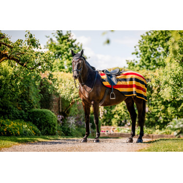 Boné anti-moscas Horseware Newmarket Boné anti-moscas Horseware Newmarket