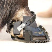 Proteção Híbrida Botas Scoot Polaina Preto