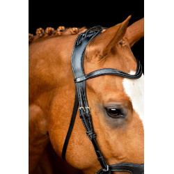 Bridão Montar Monarch couro curtido de forma orgânica Preto Bridão Montar Monarch couro curtido de forma orgânica Preto