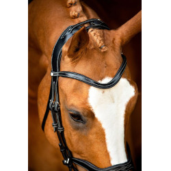 Bridão Montar Monarch couro curtido de forma orgânica Preto Bridão Montar Monarch couro curtido de forma orgânica Preto