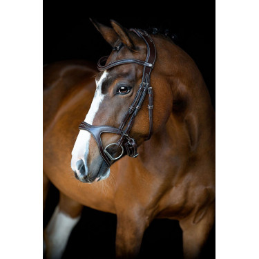 Bridão Montar Monarch couro curtido de forma orgânica Castanho Bridão Montar Monarch couro curtido de forma orgânica Castanho