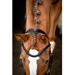 Bridão Montar Normandie couro curtido Preto