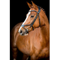 Bridão Montar US Excellence Adapt couro curtido Preto Bridão Montar US Excellence Adapt couro curtido Preto