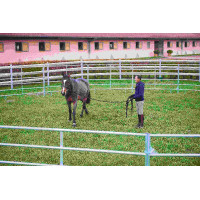 PAINÉIS GALVANIZADOS - C...