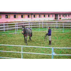 PAINÉIS GALVANIZADOS - C 2,40 m - A 1,60 m