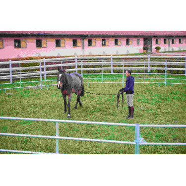 PAINÉIS GALVANIZADOS - C 2,40 m - A 1,60 m