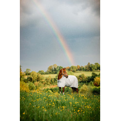 Capa anti-moscas Horseware Newmarket Carvão de madeira witney Cinzento