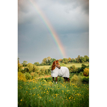 Capa anti-moscas Horseware Newmarket Carvão de madeira witney Cinzento