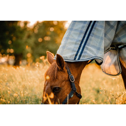 Capa anti-moscas Horseware Newmarket Plus Marine witney Azul-marinho Capa anti-moscas Horseware Newmarket Plus Marine witney Azul-marinho