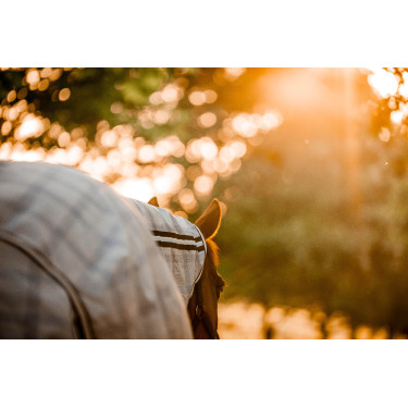 Capa anti-moscas Horseware Newmarket Plus Marine witney Capa anti-moscas Horseware Newmarket Plus Marine witney