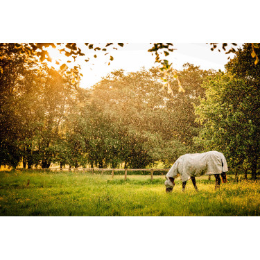 Capa anti-moscas Horseware Newmarket Plus Carvão de madeira witney Cinzento