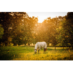 Capa anti-moscas Horseware Newmarket Plus Carvão de madeira witney Cinzento