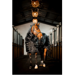 Cobertura de estábulo Horseware Easy-Layer Plus 400g Preto / preto / prata Cobertura de estábulo Horseware Easy-Layer Plus 400g Preto / preto / prata