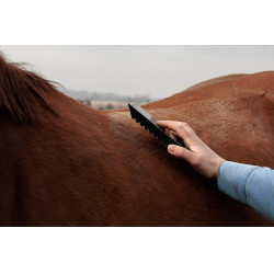 Raspadeira de aço Grooming Deluxe Preto