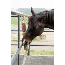 Brinquedo de madeira relaxante Grooming Deluxe Estresse Brinquedo de madeira relaxante Grooming Deluxe Estresse