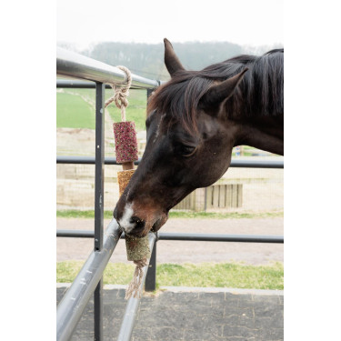 Brinquedo de madeira relaxante Grooming Deluxe Estresse Brinquedo de madeira relaxante Grooming Deluxe Estresse