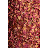 Brinquedo de madeira relaxante Grooming Deluxe Estresse