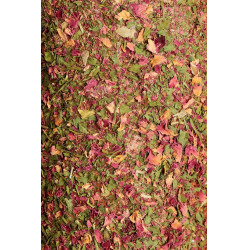 Brinquedo de madeira relaxante Grooming Deluxe com pedra de sal Via aérea Brinquedo de madeira relaxante Grooming Deluxe com pedra de sal Via aérea