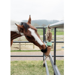 Brinquedo de madeira relaxante Grooming Deluxe com pedra de sal Via aérea Brinquedo de madeira relaxante Grooming Deluxe com pedra de sal Via aérea