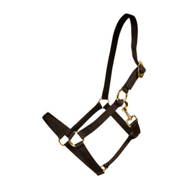 Cabresto de Nylon Kentucky Preto