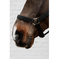 Cabresto de Nylon Kentucky Preto Cabresto de Nylon Kentucky Preto