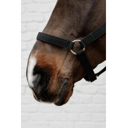 Cabresto de Nylon Kentucky Preto Cabresto de Nylon Kentucky Preto