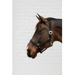 Cabresto de Nylon Kentucky Preto Cabresto de Nylon Kentucky Preto