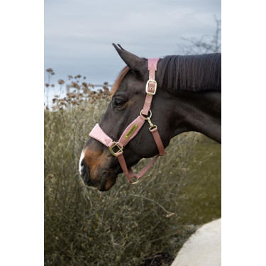 Caveira Velvet Unicórnio com purpurina Kentucky Caveira Velvet Unicórnio com purpurina Kentucky