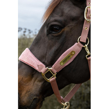 Caveira Velvet Unicórnio com purpurina Kentucky Caveira Velvet Unicórnio com purpurina Kentucky