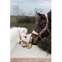 Caveira Velvet Unicórnio com purpurina Kentucky Rosa velho Caveira Velvet Unicórnio com purpurina Kentucky Rosa velho