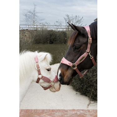 Caveira Velvet Unicórnio com purpurina Kentucky Rosa velho