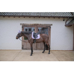 Sela debaixo Kentucky Softshell Onion Quilt Dressage Púrpura Rosa