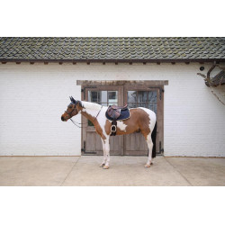 Sela de equitação Kentucky Softshell Onion Quilt Jumping Marinho Azul-marinho