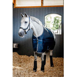 Cobertura de estábulo Horseware Ionic Therapy 50g Bleu imperial / argent /Marine Azul Cobertura de estábulo Horseware Ionic Therapy 50g Bleu imperial / argent /Marine Azul
