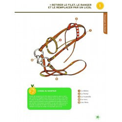 Galopes 1 e 2 Nova edição